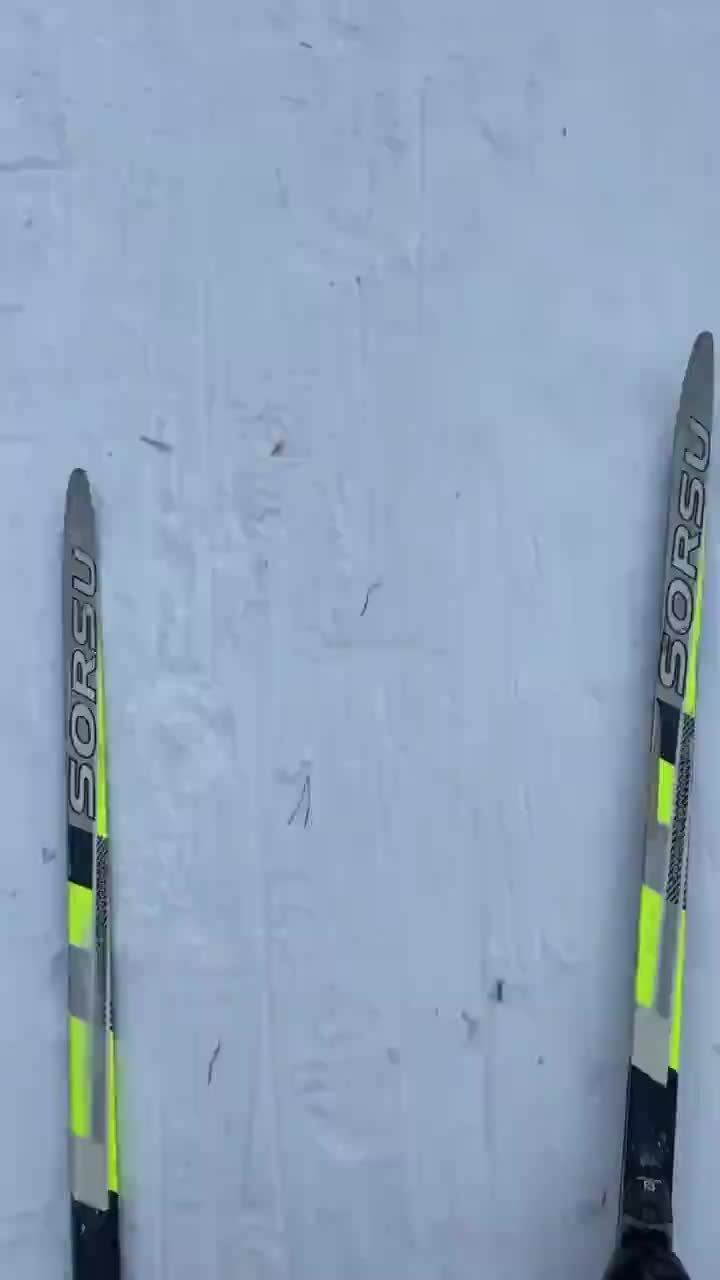 Подготовка к лыжным гонкам в Сосновом бору